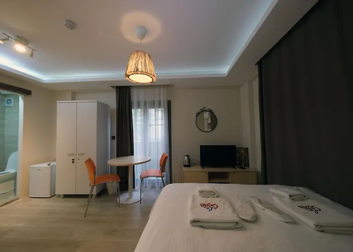 Проживание в семье Lacasita *